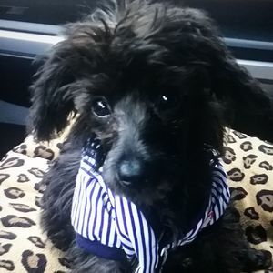 Meet your Posher, Debra